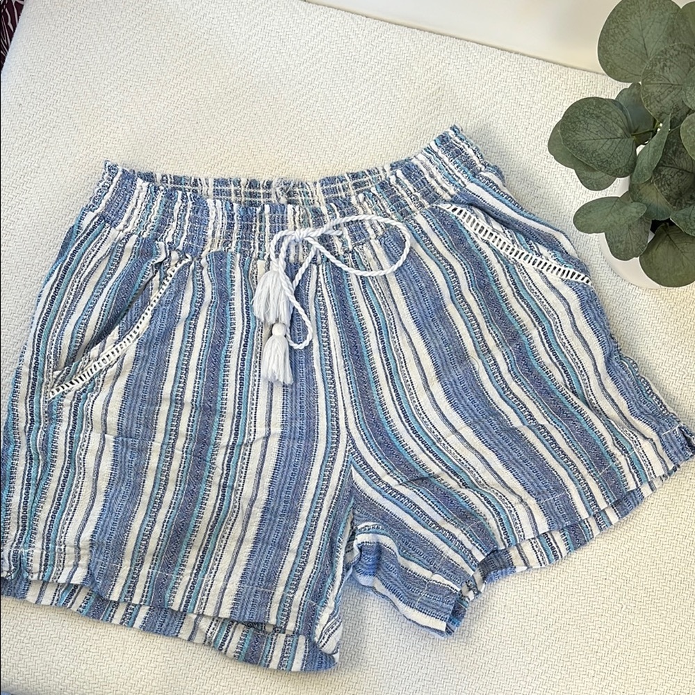 Briggs Striped Blue and White Women's Shorts size Medium